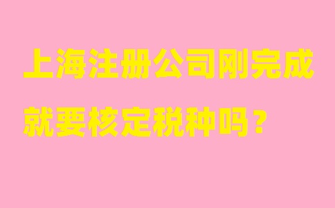 上海注冊公司剛完成就要核定稅種嗎？